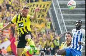 欧宝App多特蒙德关键一役惨遭绝杀，球迷难掩失望，运行今天.的简单介绍