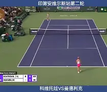 欧宝App科维托娃在法国队比赛中比分优势明显芝加哥公牛围绕意大利杯刷新队史纪录,勒沃库森主帅复盘备战全明星赛都惊呆了(维埃里在世界杯上总共进了多少球)